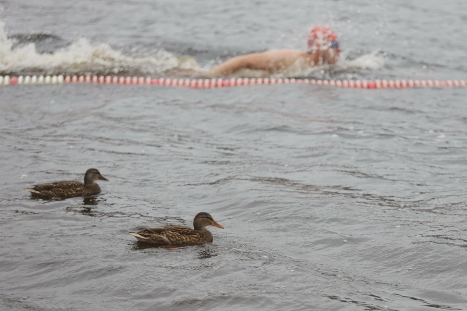  Горячие люди