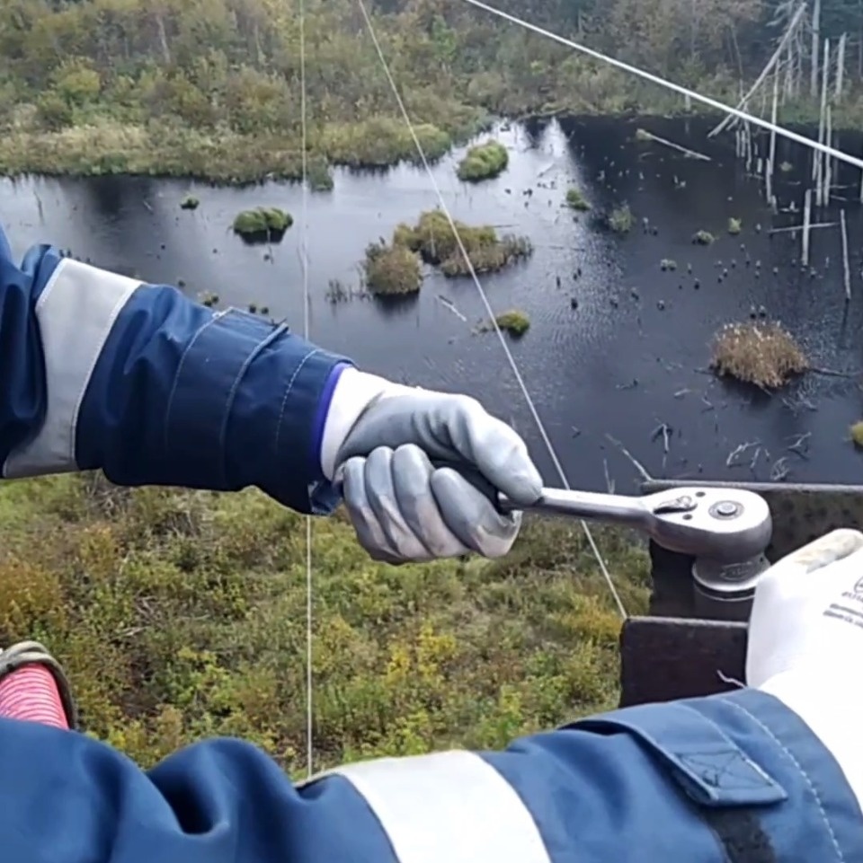 Псковские энергетики «пробиваются» через болота для планового ремонта ряда линий электропередачи