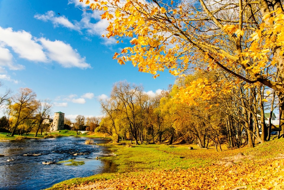 До +9 градусов ожидается в Псковской области 9 ноября