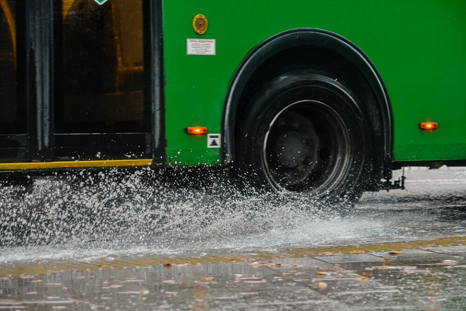 Небольшой дождь пройдет в Псковской области 14 ноября