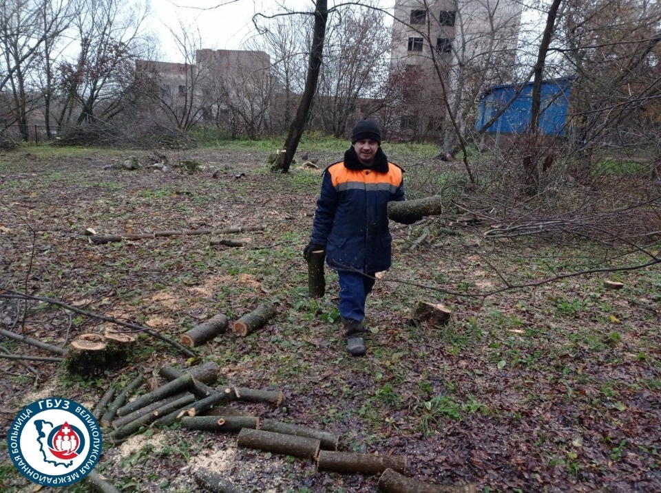 Сад для прогулок и парковая зона появятся на территории стационара великолукской больницы