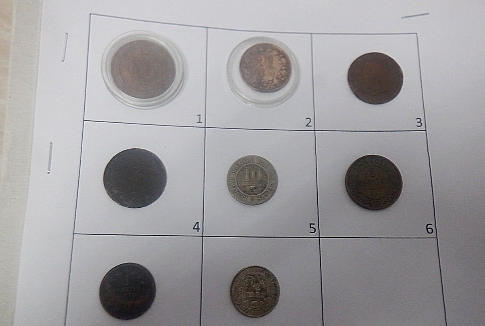 Иностранец попытался вывезти из России через Псковскую область старинные монеты 