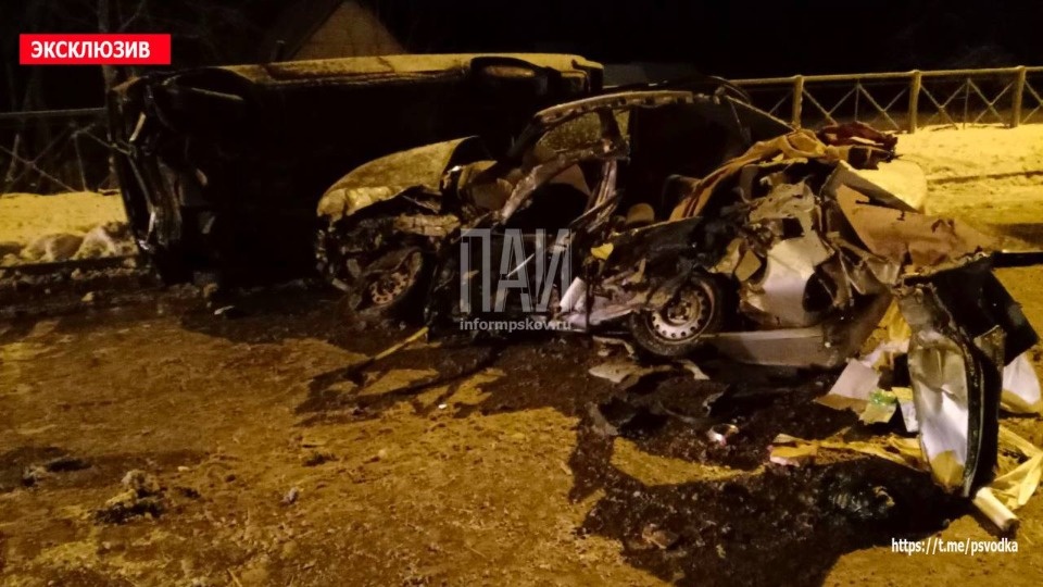 Утята и собака стали участниками смертельного ДТП в Стругокрасненском районе Утята и собака стали участниками смертельного ДТП в Стругокрасненском районе