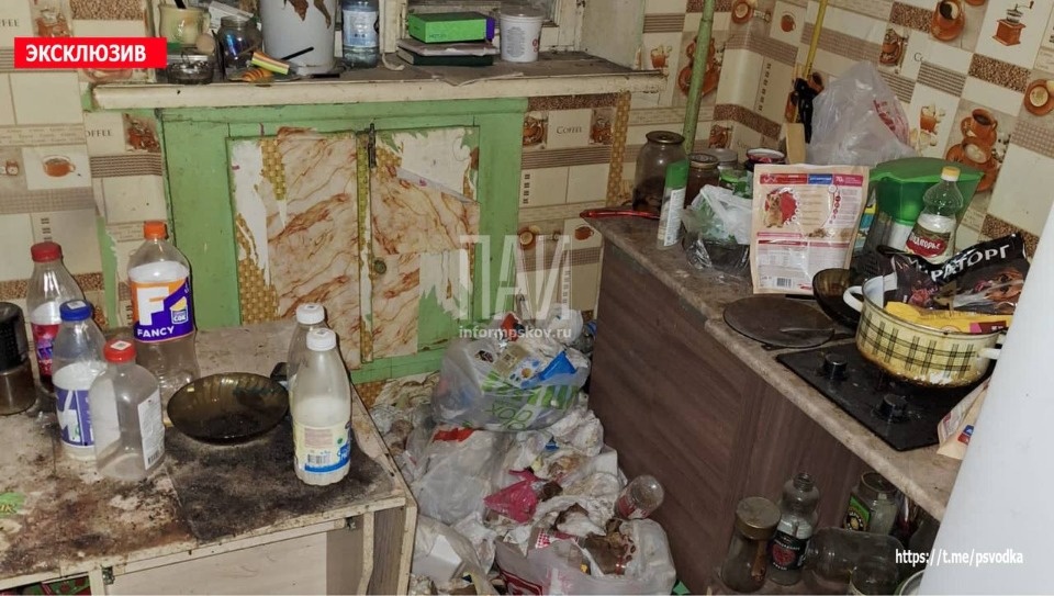 Прокуратура взяла на контроль расследование убийства троих детей в Псковской области