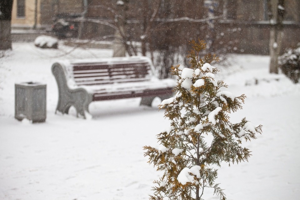 До -8 градусов прогнозируется в Псковской области 28 ноября
