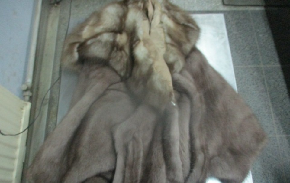 Псковские таможенники пресекли вывоз меховых шуб из России