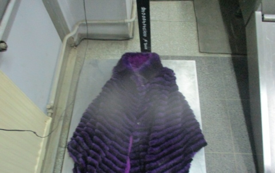 Псковские таможенники пресекли вывоз меховых шуб из России