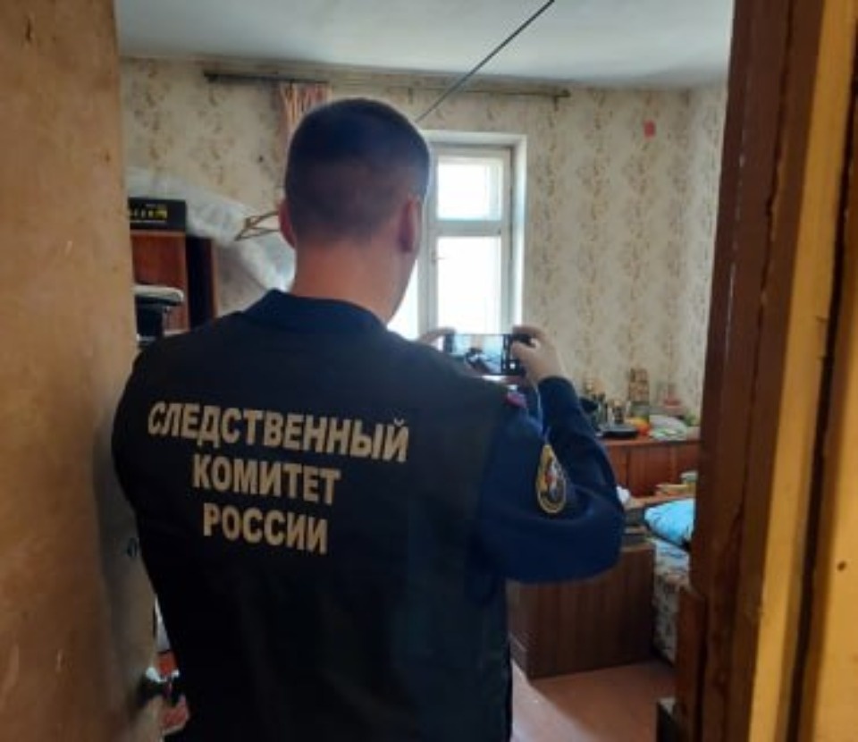 Убившая знакомого псковичка отправится в колонию на шесть лет Убившая знакомого псковичка отправится в колонию на шесть лет