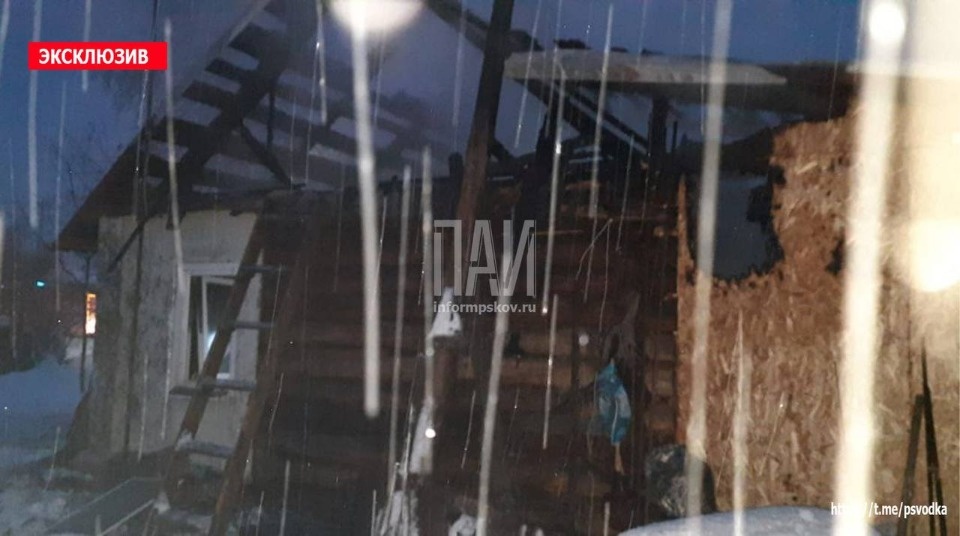 На пожаре в жилом доме в Порхове погиб кот На пожаре в жилом доме в Порхове погиб кот