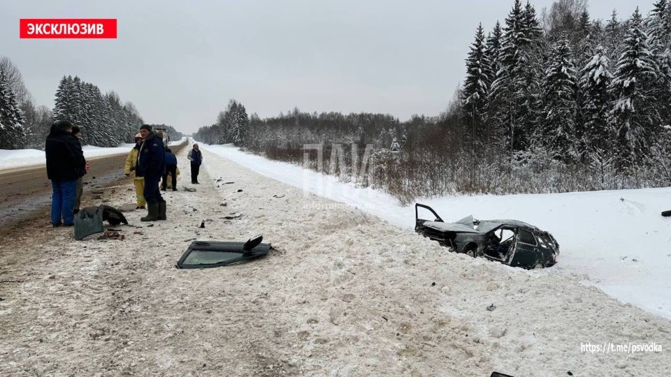 В Невельском районе водитель легковушки погиб в ДТП с фурой В Невельском районе водитель легковушки погиб в ДТП с фурой