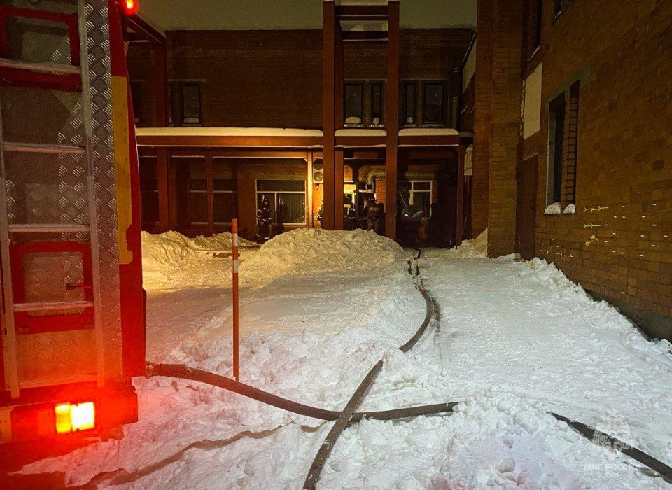 Мужчина погиб на пожаре в хозяйственной постройке в Локне 