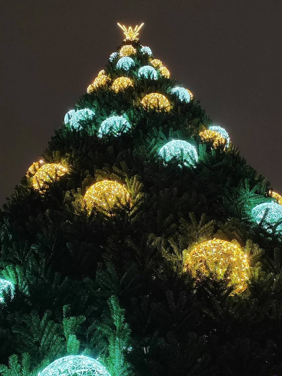 На городской ёлке в Великих Луках в тестовом режиме включили иллюминацию