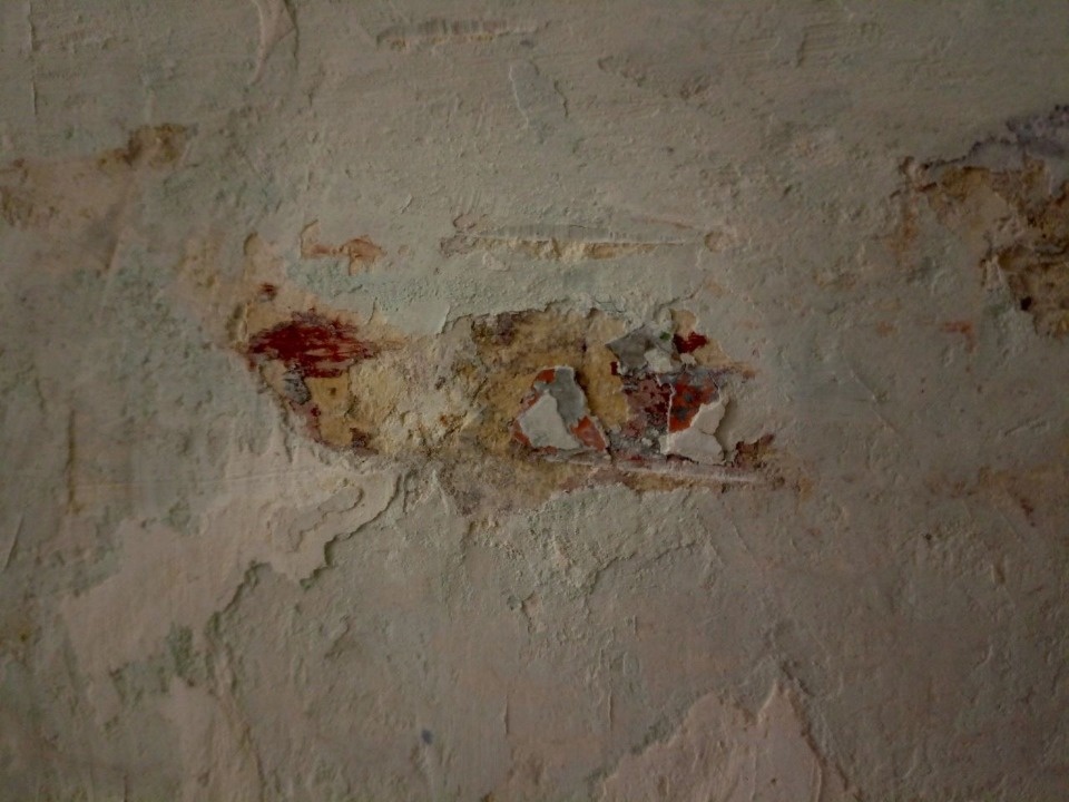 Фрагменты фресковых орнаментов открыли во время реставрации Святогорского монастыря в Пушкинских Горах Фрагменты фресковых орнаментов открыли во время реставрации Святогорского монастыря в Пушкинских Горах