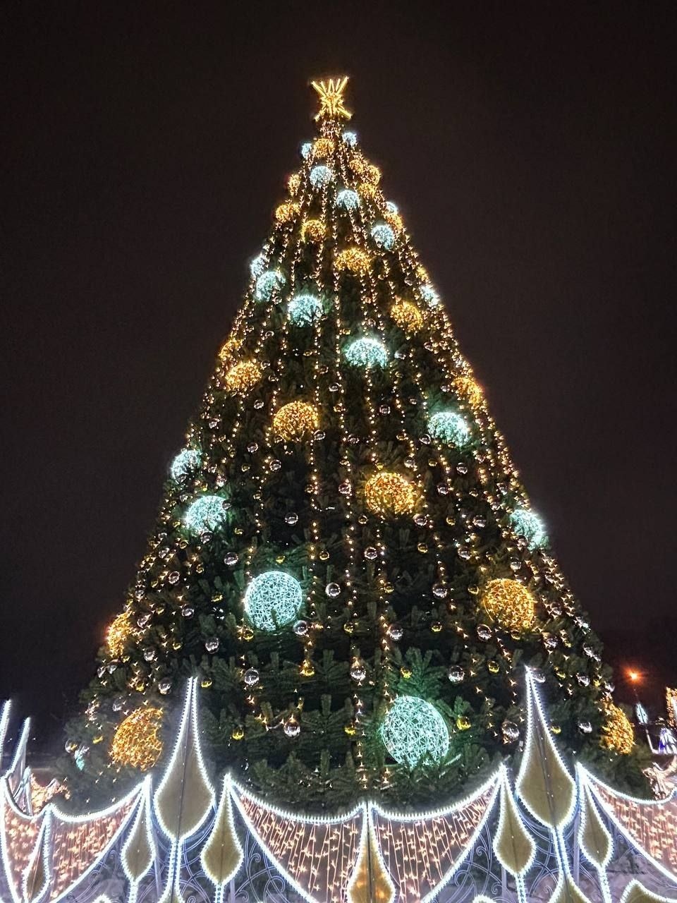 Главная городская елка в Великих Луках готова к новогодним праздникам