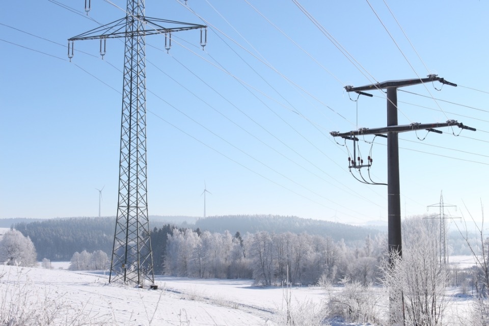 Две тысячи километров ЛЭП восстановили энергетики в Псковской области