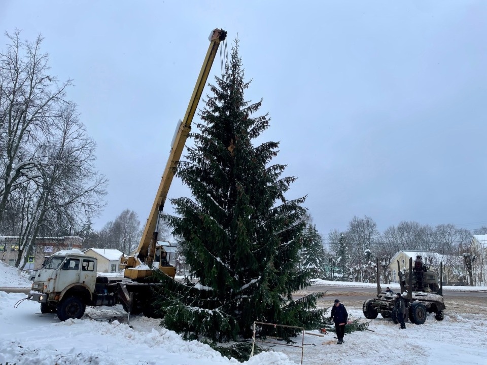 Новогоднюю ёлку установили на площади в Пушкинских Горах