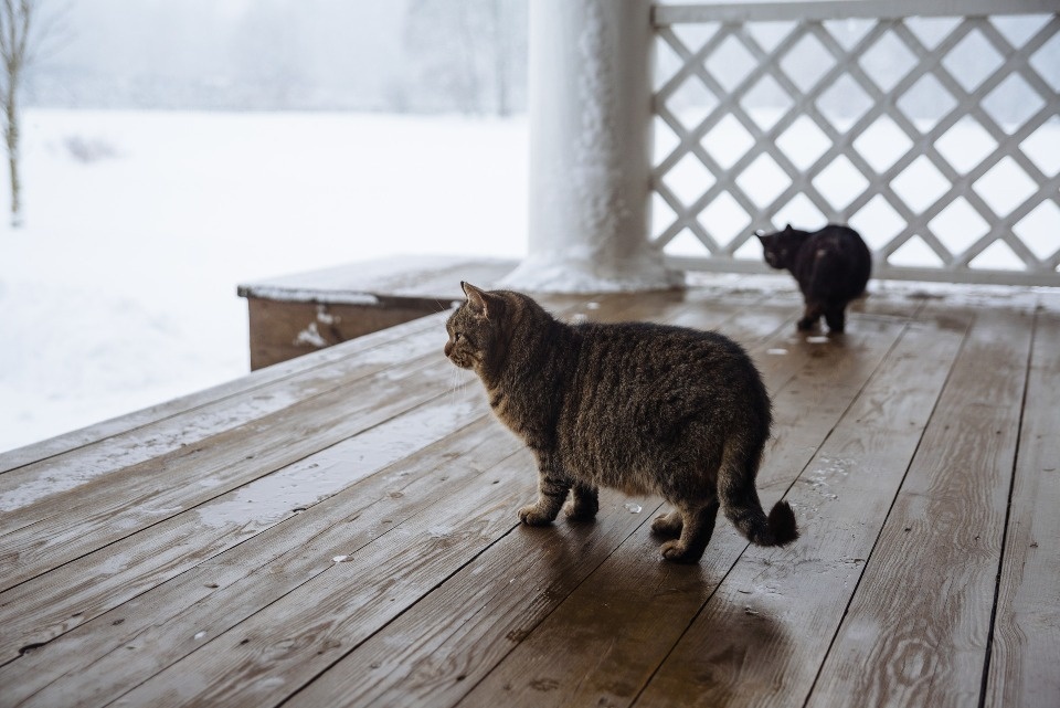 До -6 градусов похолодает в Псковской области 15 декабря