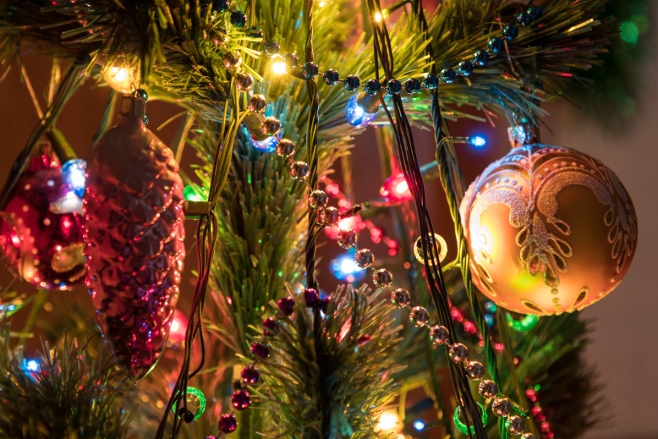 В псковском Роспотребнадзоре рассказали, как выбрать елочную гирлянду