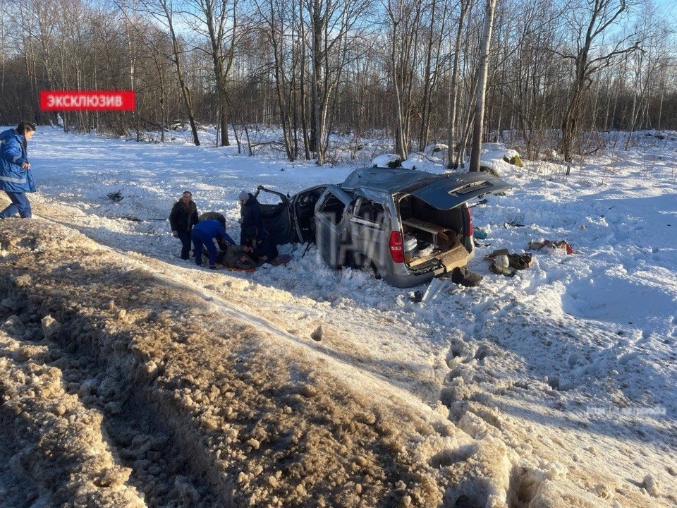 Водителя микроавтобуса госпитализировали в результате ДТП в Псковском районе 