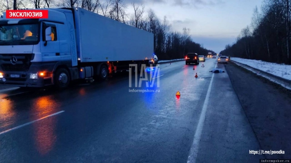 Грузовик насмерть сбил женщину в Палкинском районе