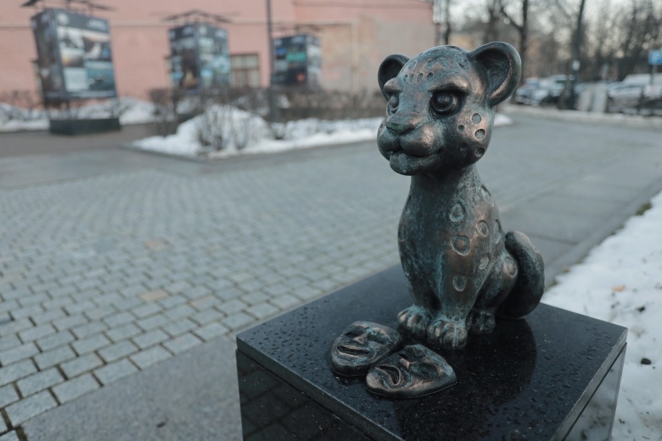 В историческом центре Пскова появились барсики 