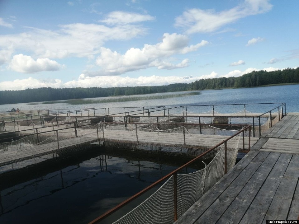 В номинацию «Экомышление» премии «Народное признание» начали поступать первые заявки