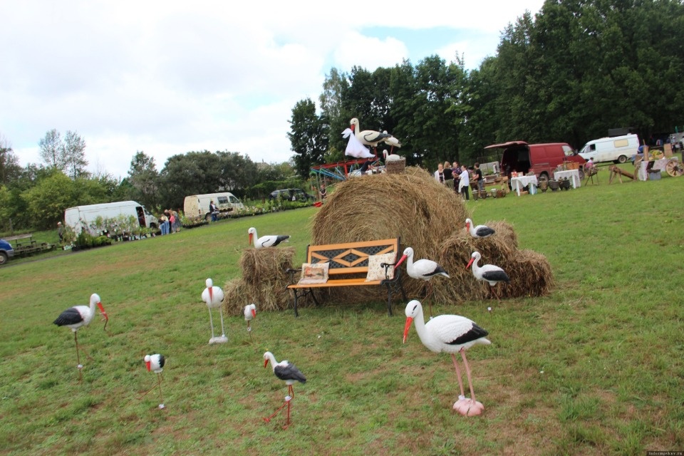 В номинацию «Экомышление» премии «Народное признание» начали поступать первые заявки