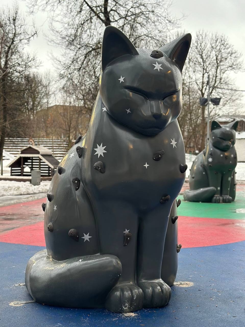 Коты-скаладромы появились в Пскове