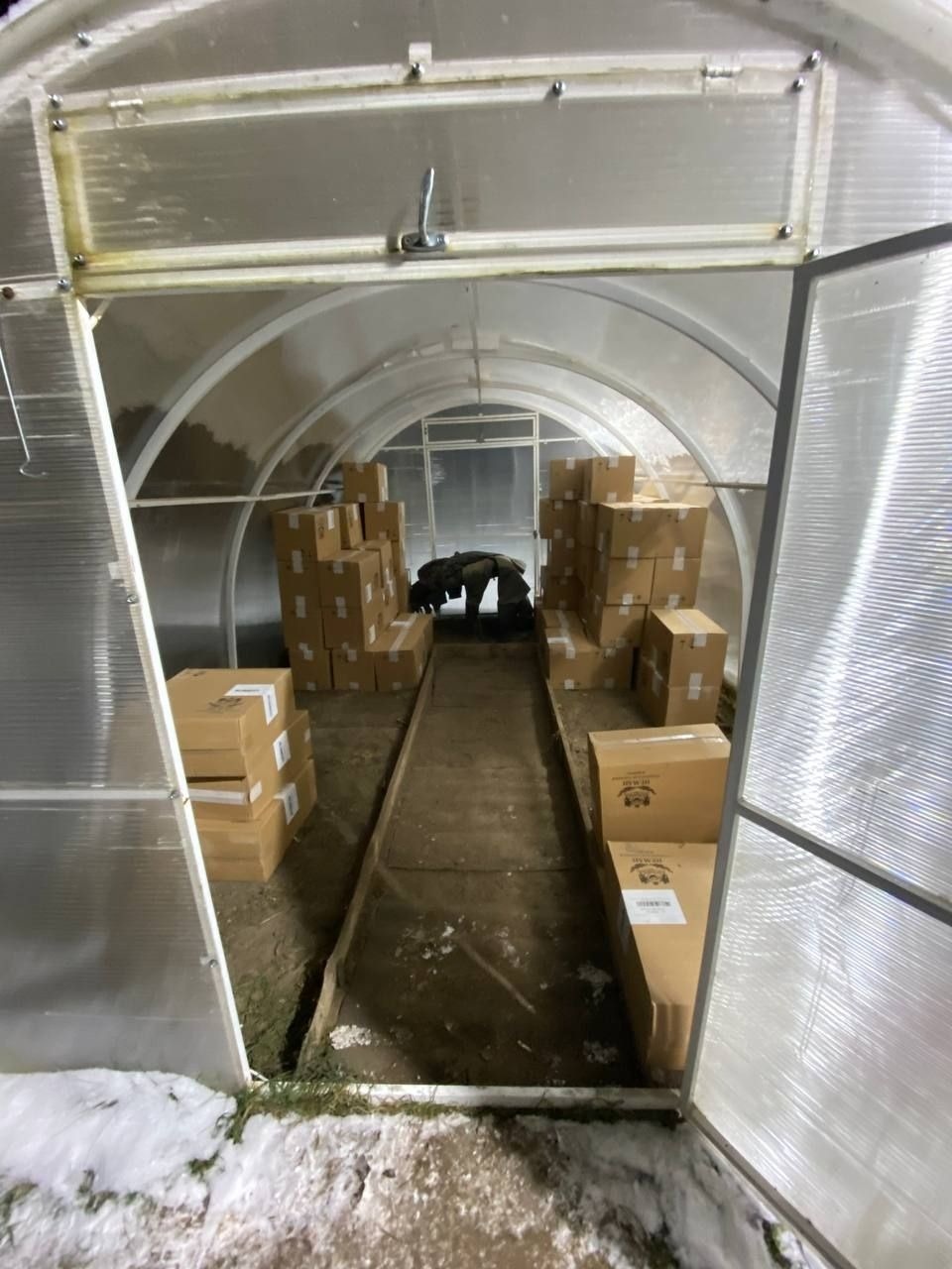 В Великолукском районе выявили свыше 700 тысяч пачек немаркированного табака