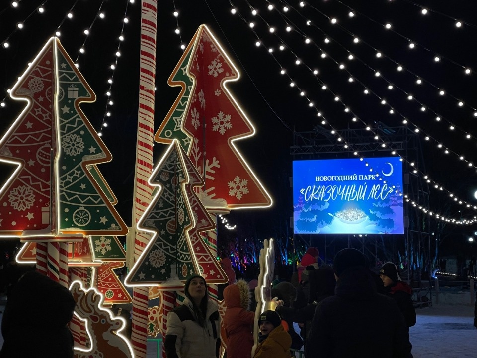В Пскове работает новогодний парк «Сказочный лес»