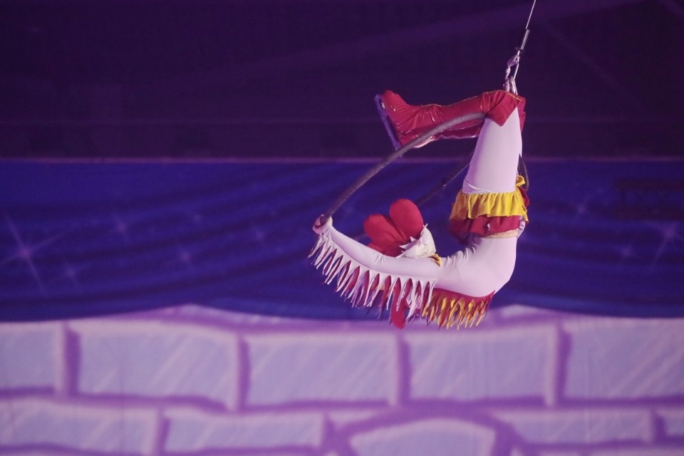 Бременские музыканты на льду Бременские музыканты на льду