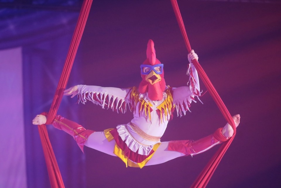 Бременские музыканты на льду Бременские музыканты на льду