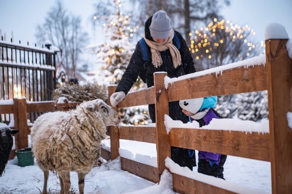 Рождественские гуляния пройдут у Святых ворот Свято-Успенского Псково-Печерского монастыря