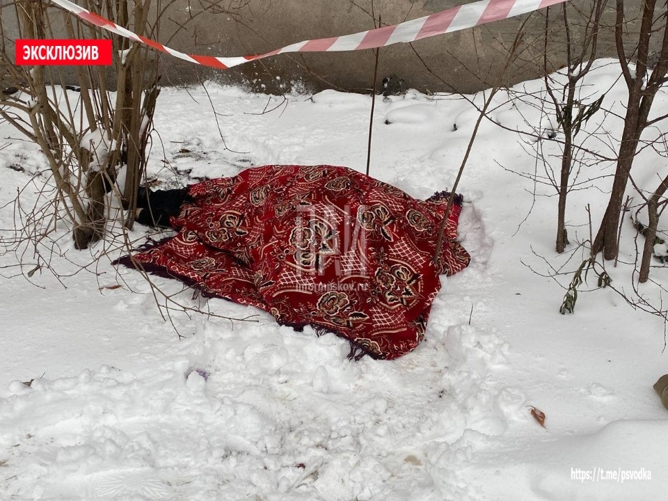 Псковичка выпала из окна пятого этажа и погибла