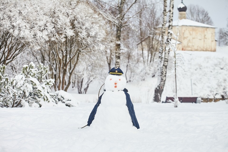 До -9 градусов ожидается в Псковской области 11 января 