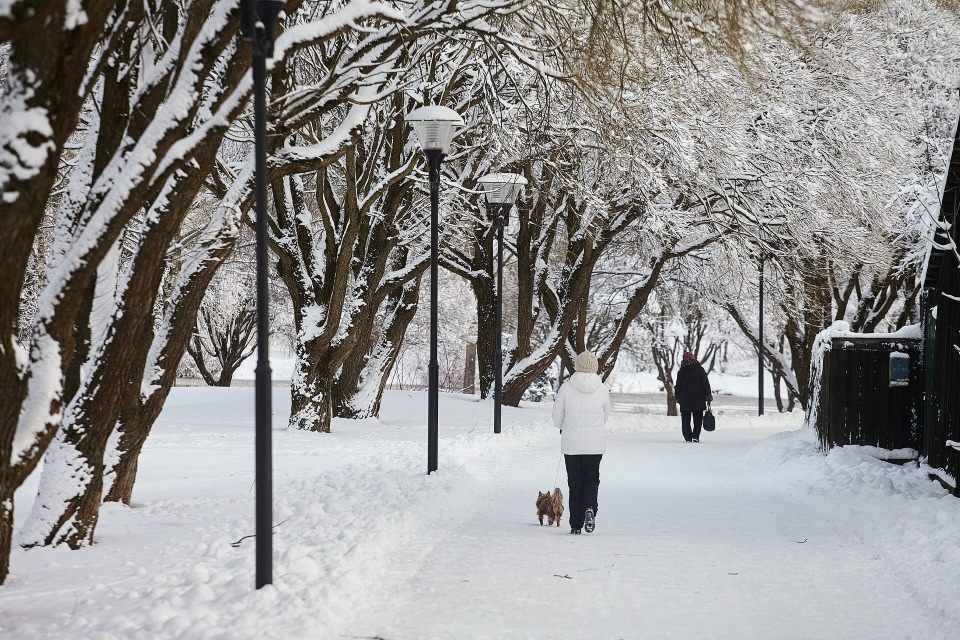 До -5 градусов ожидается в Псковской области 15 января