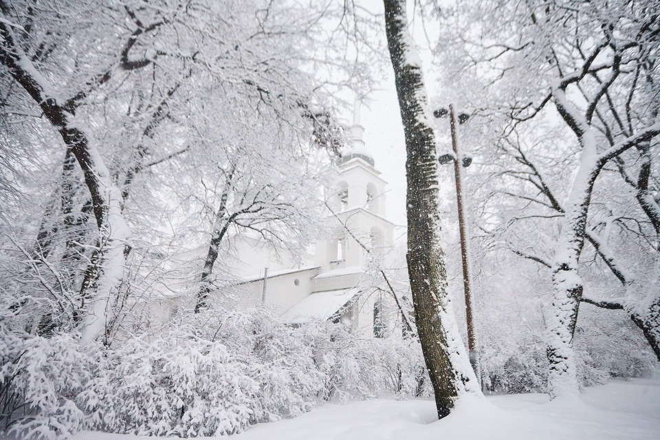 До -7 градусов прогнозируется в Псковской области 16 января