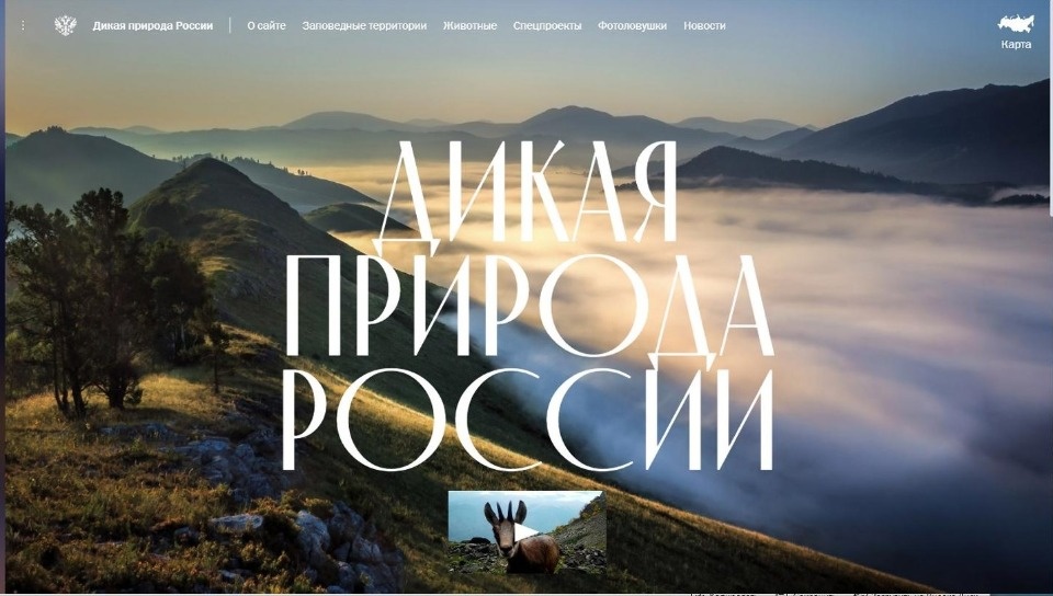 Раздел с обитателями Полистовского заповедника появился на сайте Кремля