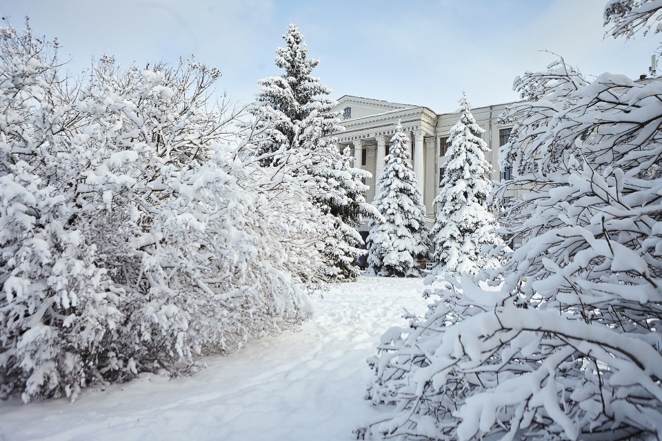 День без осадков ожидает жителей Псковской области 17 января