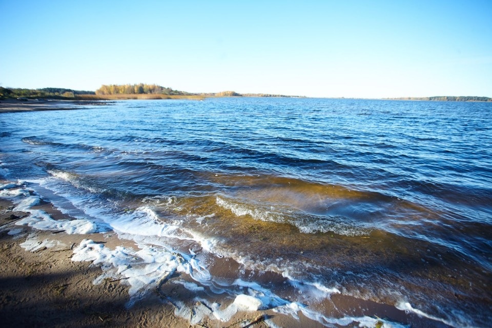 Порядка 2,8 тысяч тонн рыбы добыли в Псковско-Чудском озере в 2023 году