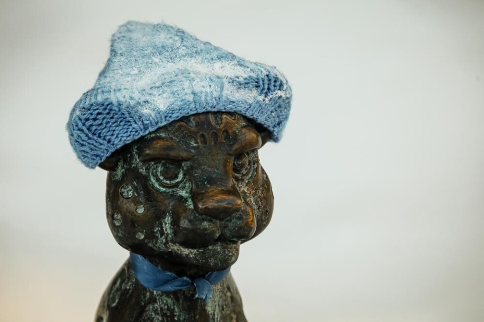 До +3 градусов прогреется воздух в Псковской области 25 января 