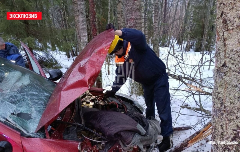 Пьяный водитель вылетел в кювет в Гдовский район