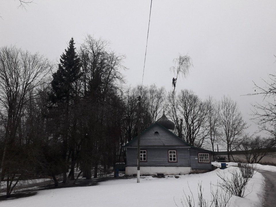 В псковском Мирожском монастыре спиливают аварийные деревья