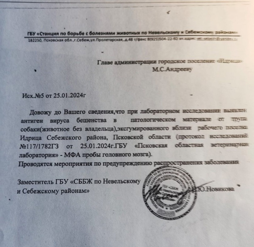 Найденный в мусорном контейнере в Идрице пес умер от бешенства 