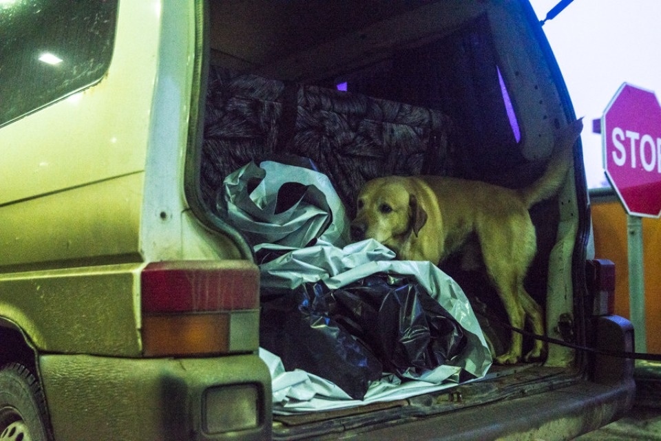 Почти 60 уголовных дел возбудила Псковская таможня в 2023 году