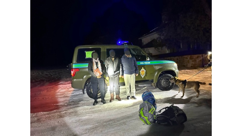 Три группы иностранцев пытались незаконно пересечь госграницу в Псковской области