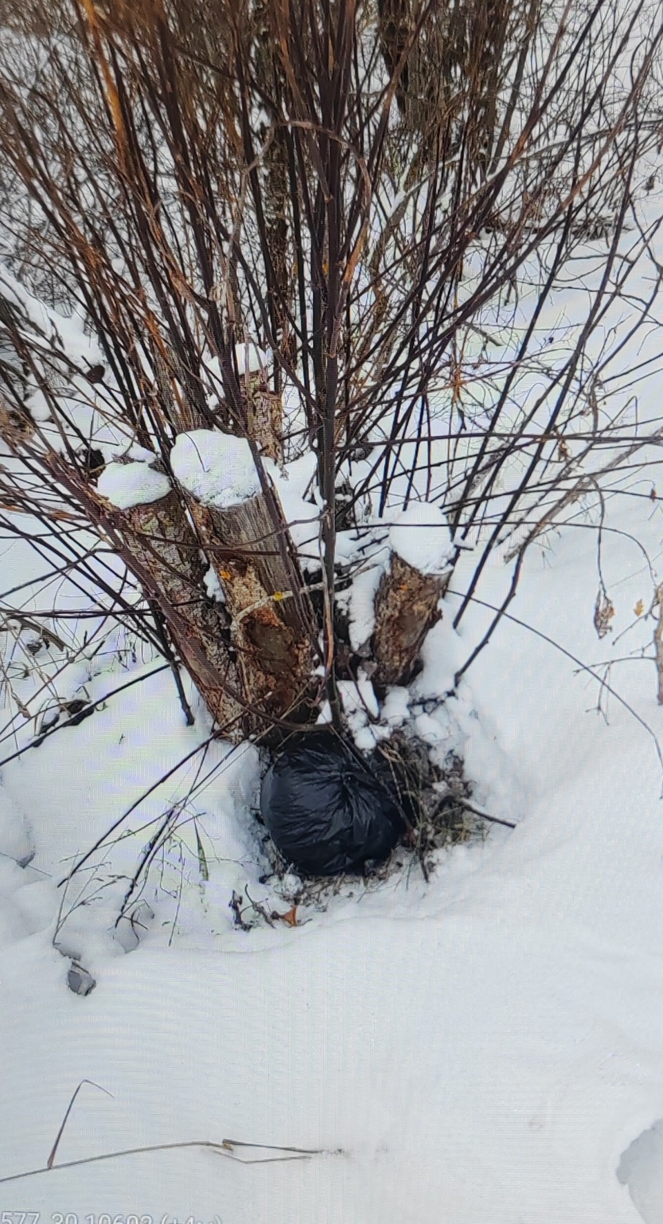 Восемь лет колонии получила россиянка за сбыт наркотиков в Псковской области