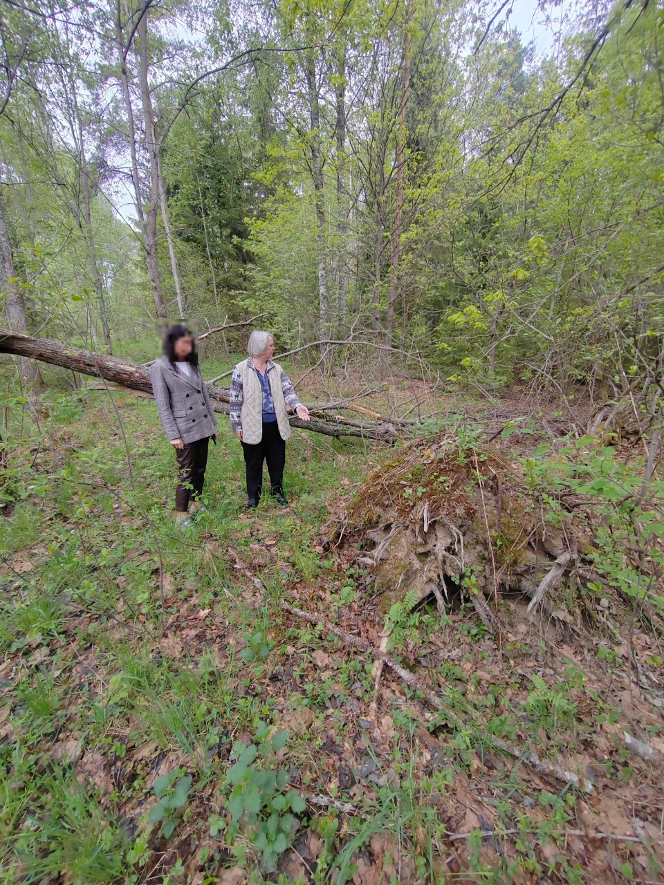 Восемь лет колонии получила россиянка за сбыт наркотиков в Псковской области