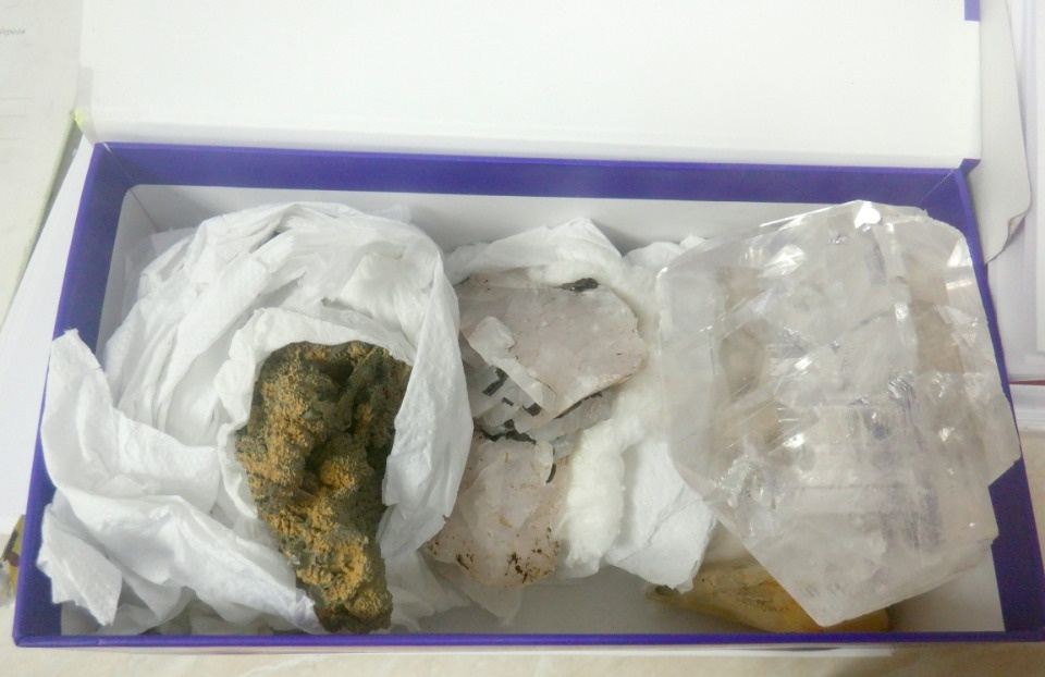 Житель Германии пытался незаконно вывезти через псковскую госграницу коллекцию минералов