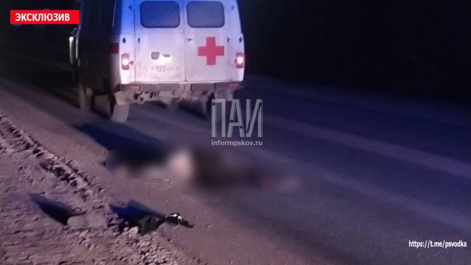 Пешехода сбили насмерть в Порхове Пешехода сбили насмерть в Порхове